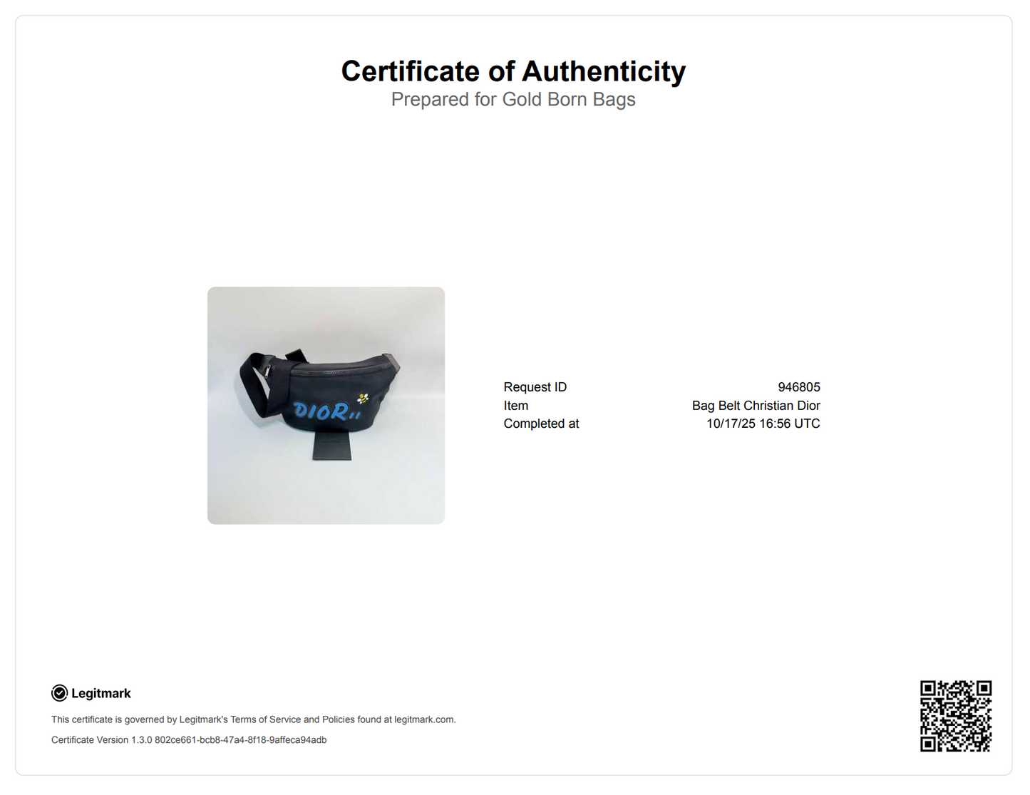 DIOR x KAWS Nylon Belt Bag