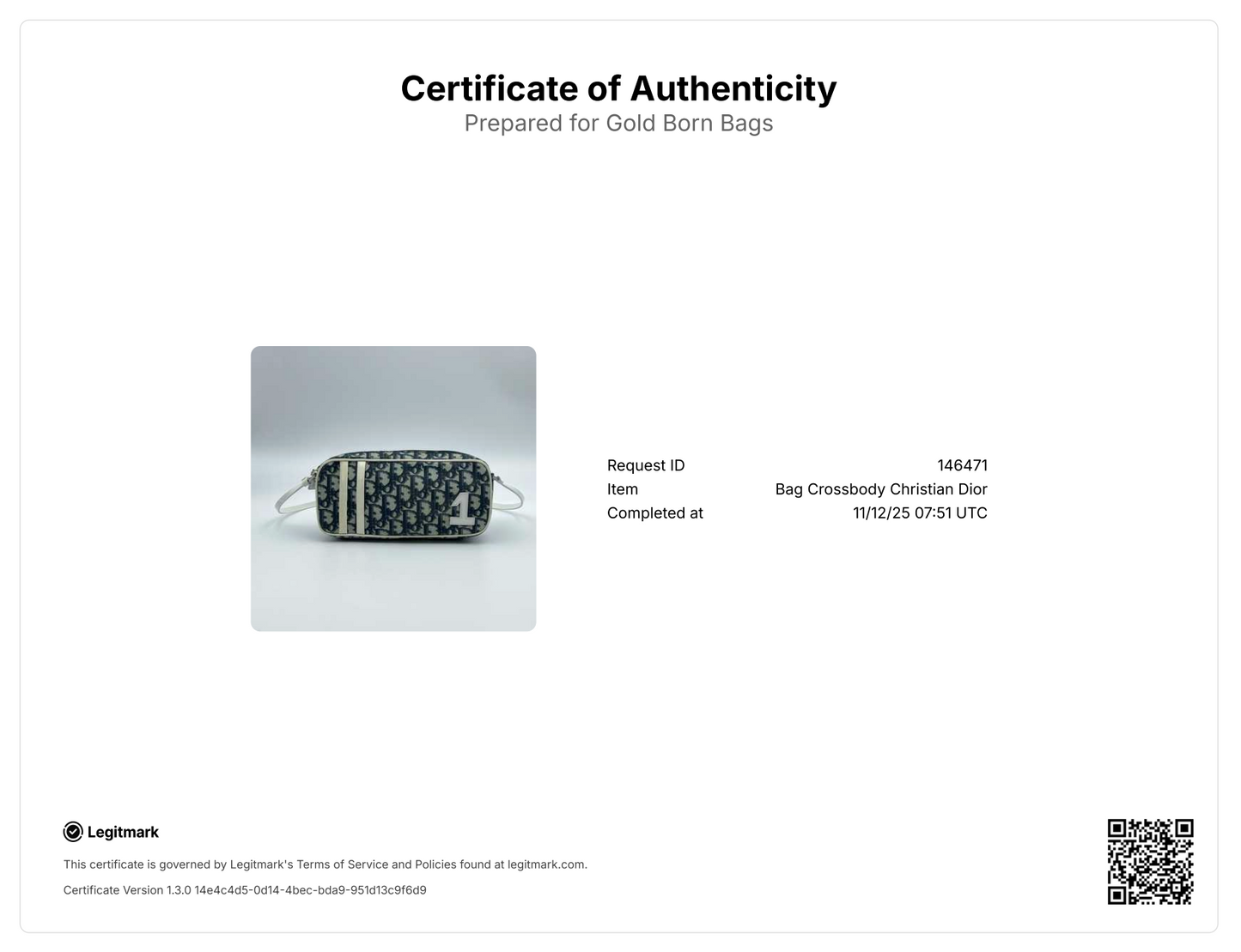 Dior Trotter PVC Accessory Pouch