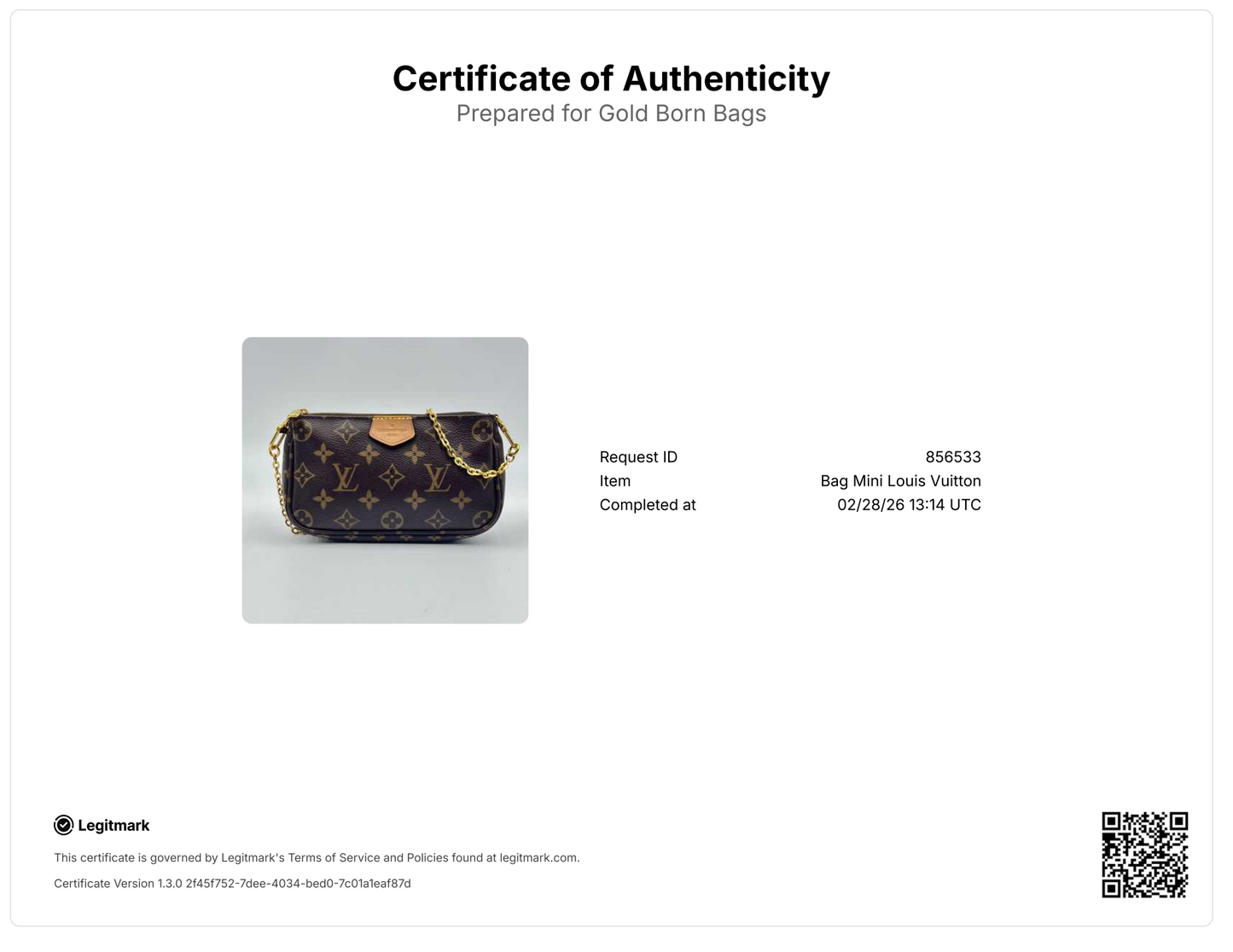 Monogram Multi Pochette Accessories Pochette